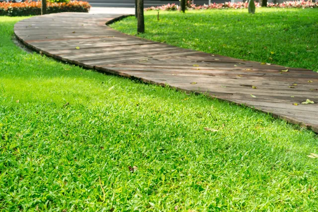 Wooden walkway curves through lush green grass in a park setting.